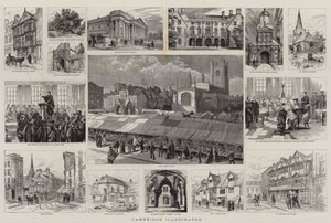 Cambridge Ilustrado